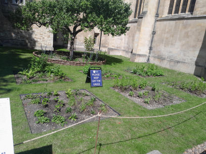 Trinity John Ray Garden